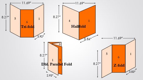 tri fold half fold brochure euro a4 size 8 27x11 69 brochure size