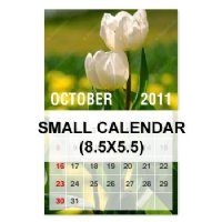 Small Calendar (8.5x5.5)