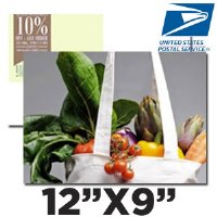 Direct Mail Jumbo Postcard - 12x9