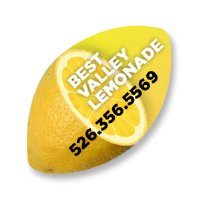 Oblong Shape Magnet - 3.5"x2"