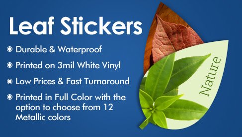 Leaf Sticker