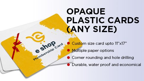 Opaque Plastic Flyer (Any Size)