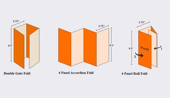 Tri-Fold Brochure Size