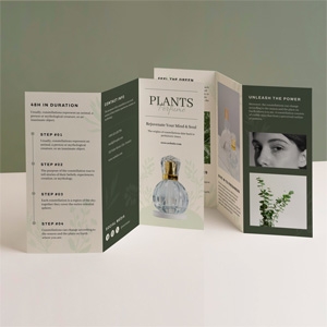 Folded Brochure - 17x11