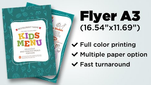 Flyer - European A3 (16.54"x11.69")