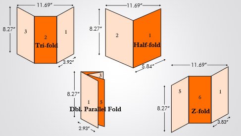 Euro 8 27x11 69 Inch Folded Brochure Printing At A Low Price