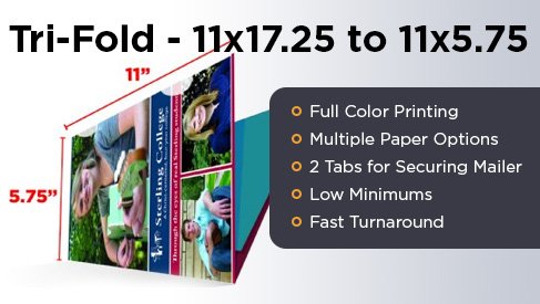 Tri-Fold Mailer - 11x17.25 to 11x5.75