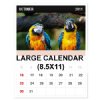 Wall Calendar - 13 months