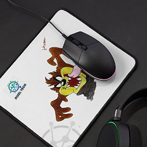 Computer Accessories