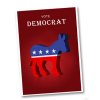 Political Campaign Flyers