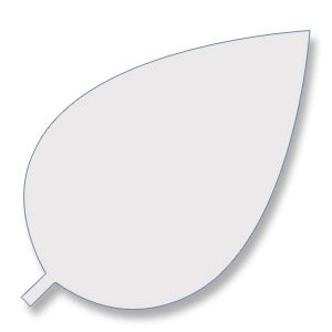 Leaf
