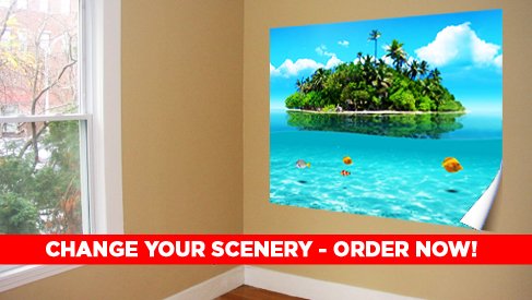 Easily Removable from the wall