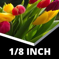 Poster Board on 3mm PVC